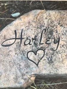 HarleyFontMatch
